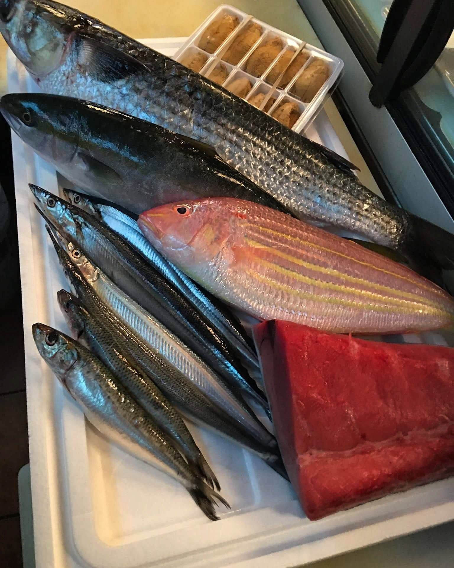 SUSHI K KAMIZATO on Twitter "This week's special fish Sayori (needle