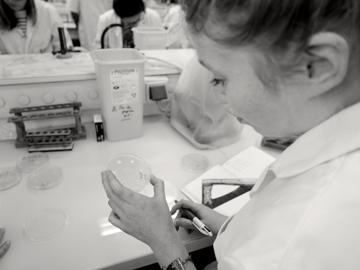 Genevieve_Hery's tweet photo. #BacterioMed Antibiogrammes, cas cliniques ECNi, ça cogite en #DFGSM3 @UBO_UnivBrest https://t.co/ZsODnH0GEc