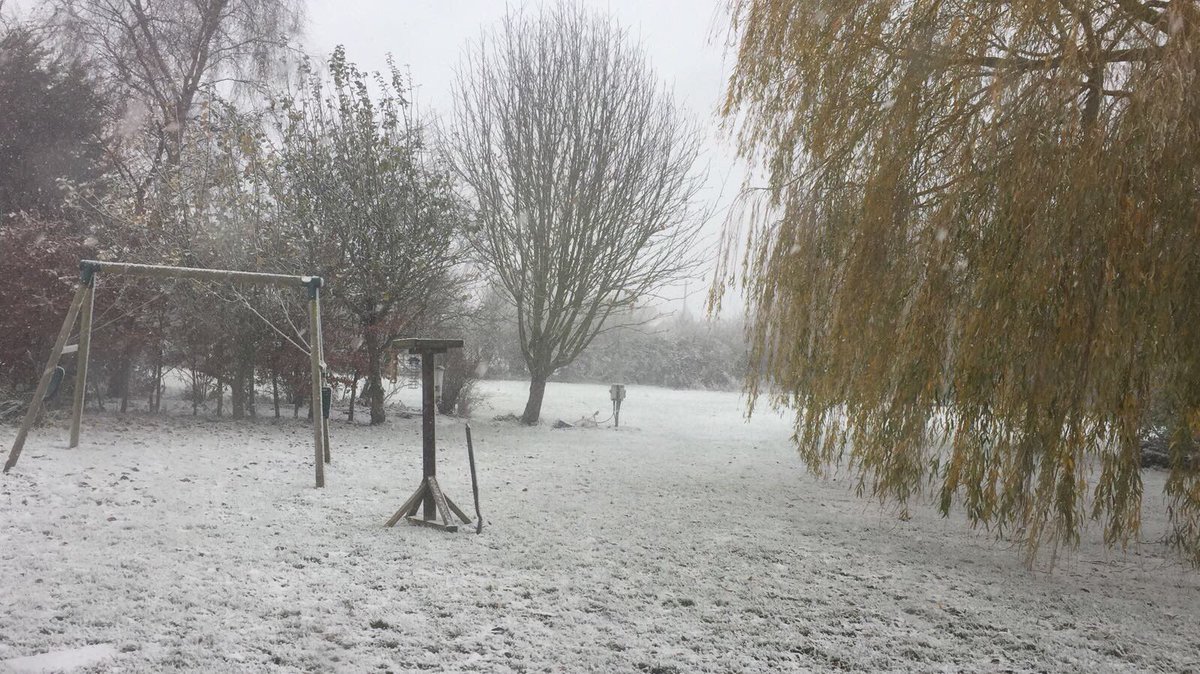 landscapecorner's tweet photo. Dog and snow combination #shesnotsure #looksbeautiful #feelscold https://t.co/qZfqoRgPsj