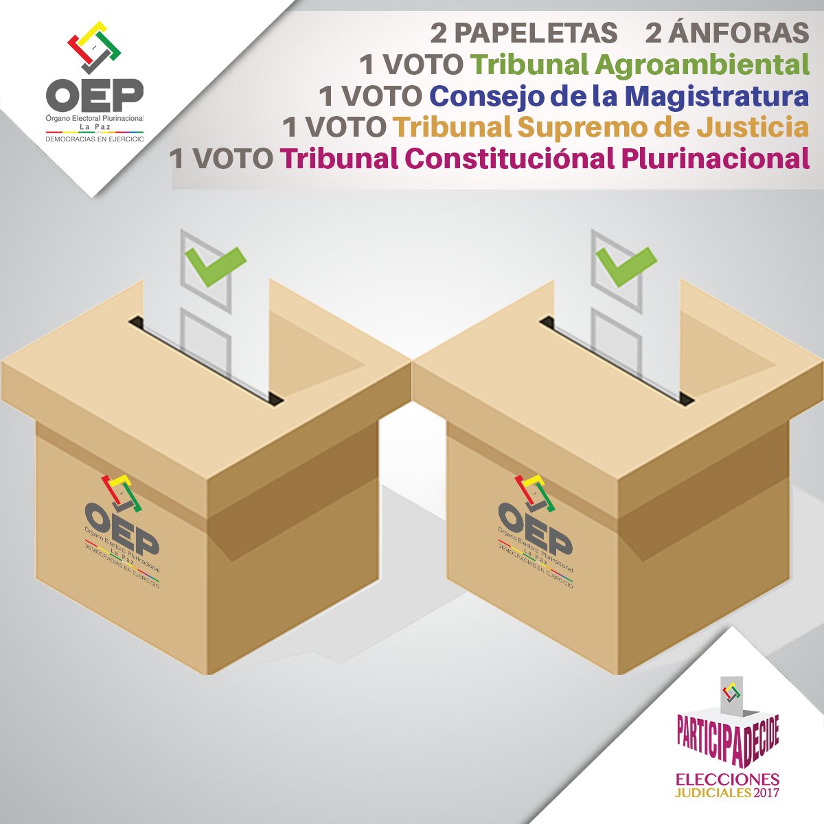 OEP La Paz tweet media