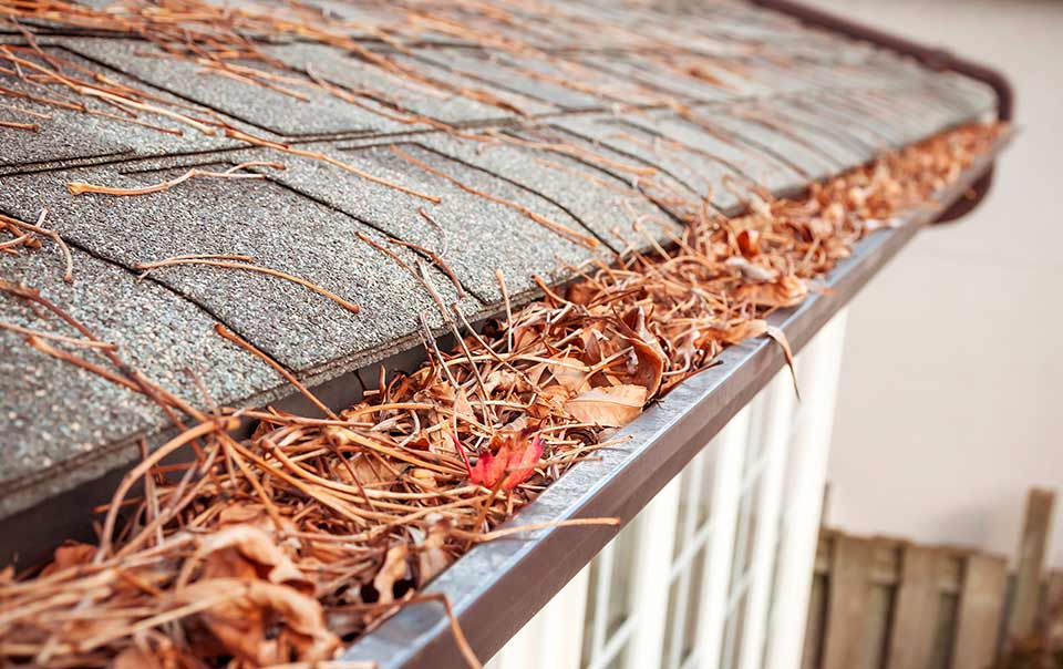 RosaLopezIns's tweet photo. Fall is my favorite season of the year, the smell in the air 😌 and the beautiful falling leaves. 🍁 🍂 However, it also calls for a little maintenance, but for me personally, I don't mind.  

Here are a few fall home maintenance tips: 
https://t.co/aNYJr7okD5 https://t.co/Ino6cxMs1x