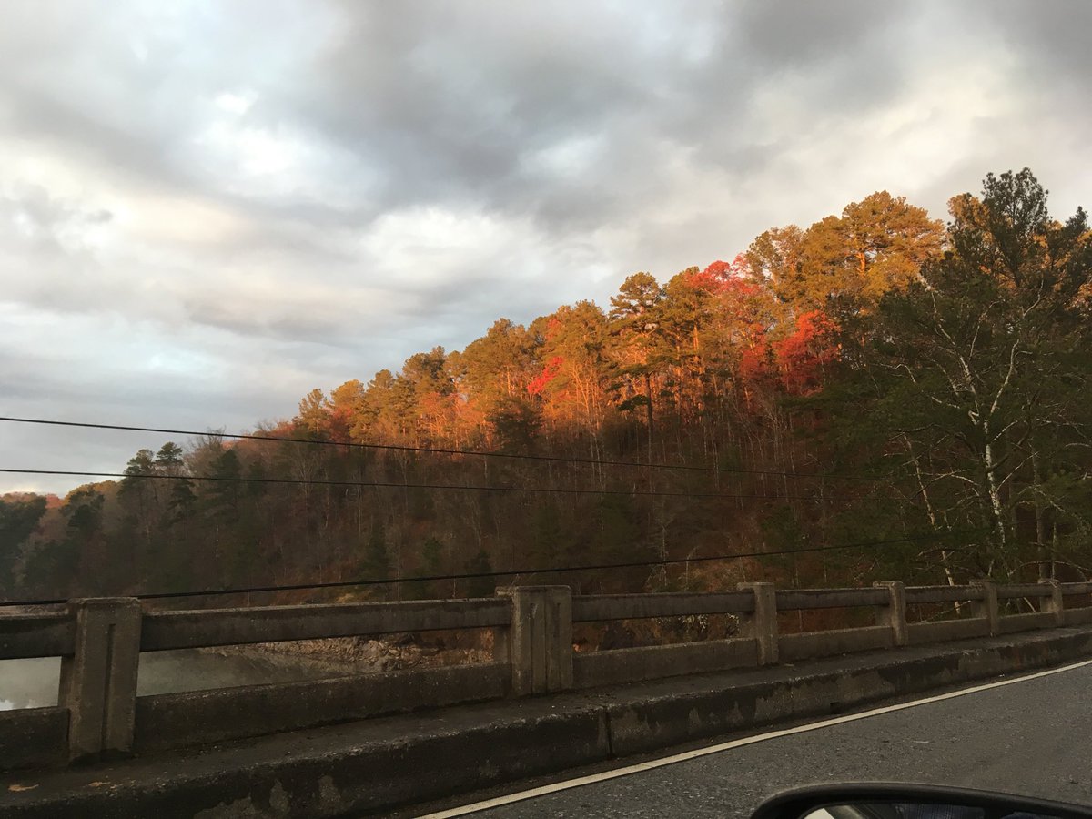 thompsontl's tweet photo. The benefits of standstill traffic: enjoying the last remaining leaves. #FallInGeorgia https://t.co/aKIuNzzKWJ