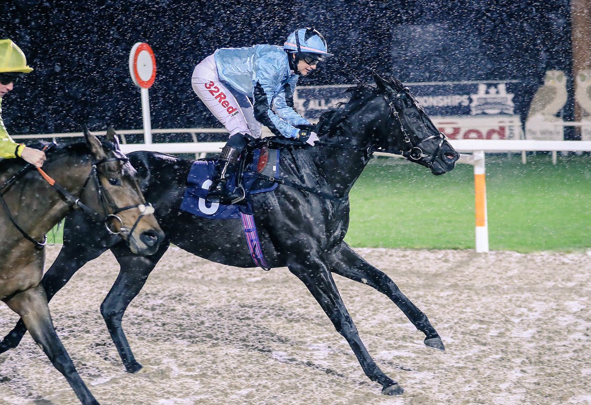 nikidoog's tweet photo. Fantastic picture from @Tattersalls1766 of @josephinegordo’s 101st winner of the year with the great help of trainer @kremlincottage #StrangeSociety 👏🏼👏🏼👏🏼 @NewcastleRaces https://t.co/rVumTZPrxz