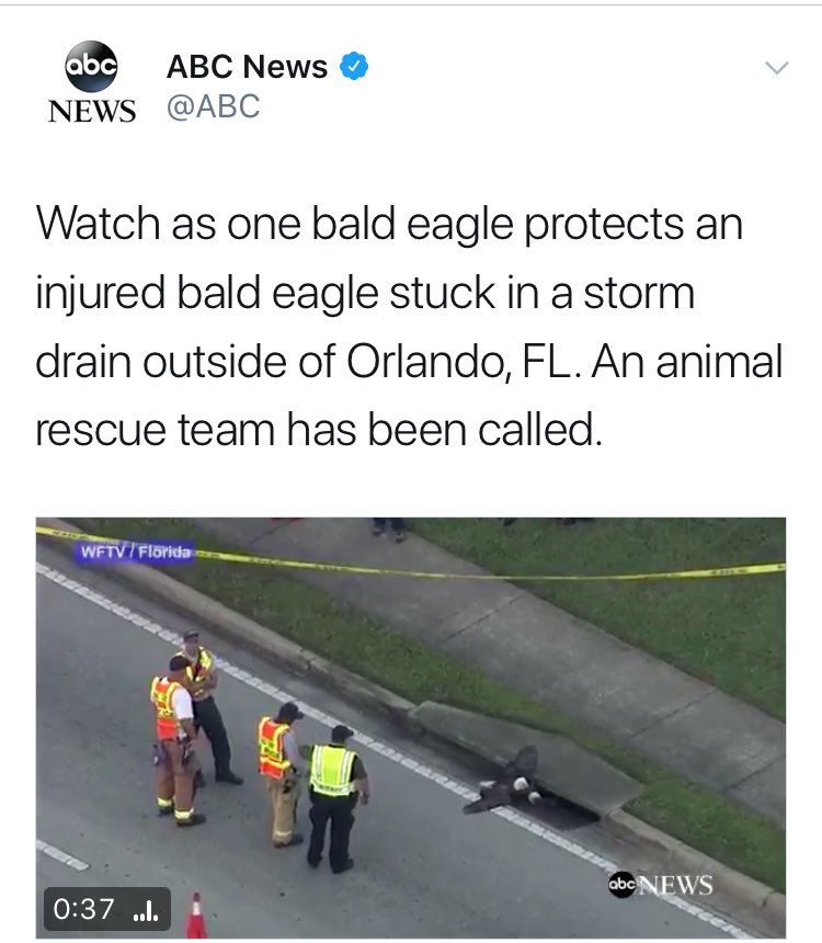 1followernodad's tweet image. this year has been a little too overt with its imagery