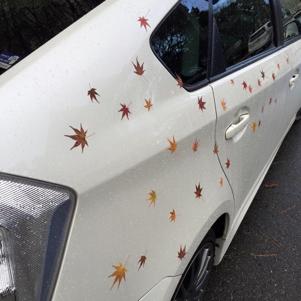 車のボディに散りばめられた紅葉のペイントがすごくキレイ これ 実は Togetter 車のボディに散りばめられた紅葉のペイントがすごくキレイ これ 実は Togetter