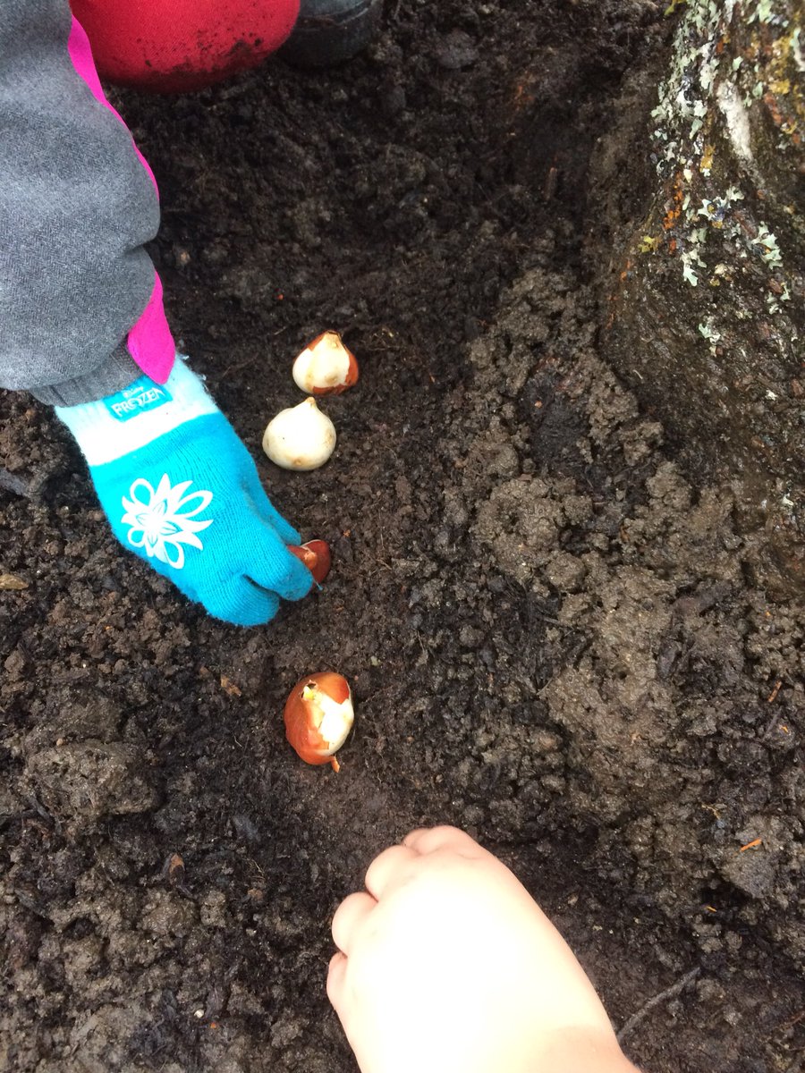 AlexKellar94's tweet photo. Sanding, planting and planning... we’re almost done! 🌷 #outdooreducation #sd79 #discoveryelementary #rainorshine https://t.co/u3Gi894N59
