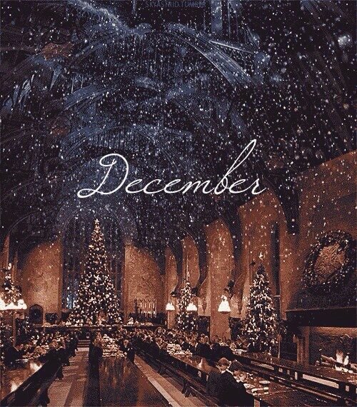 Hogwartssite's tweet image. Bienvenido diciembre. Hoy comienza oficialmente el periodo navideño en Hogwarts y la decoración llega al castillo.
