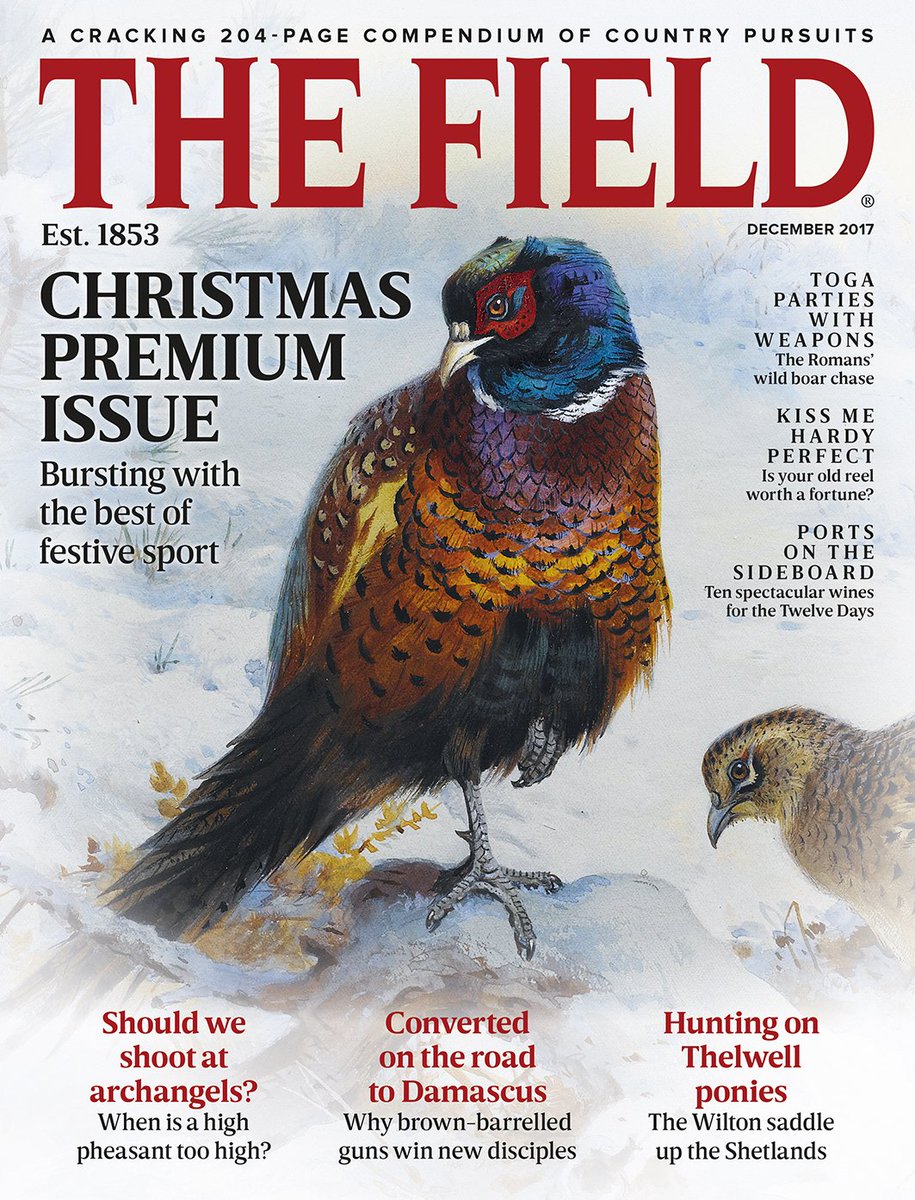 TheFieldmag's tweet photo. Get ahead with your Christmas shopping. Put a Field subscription under the tree https://t.co/mNcxA2y3BG https://t.co/n9wqPqV3w0