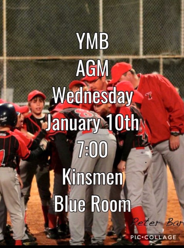 Yorkton Minor Ball tweet media