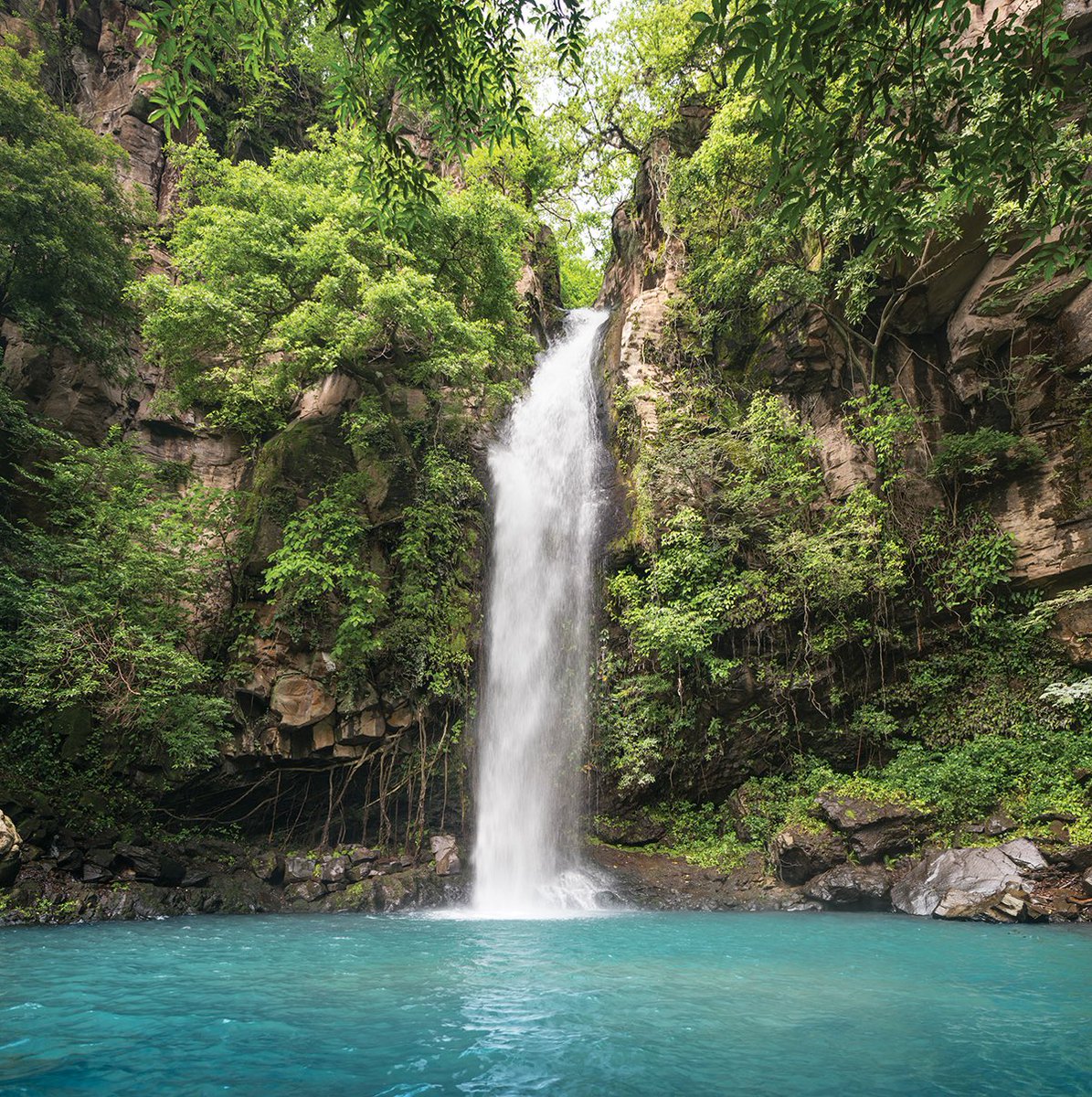 vuenj's tweet photo. I think it’s time for a getaway...🌴 Check out our article on Costa Rica in our Holiday Gift &amp; Charity Guide and see why you should head there for your next trip 😍 #getaway #holiday travel https://t.co/eVZkiv2c4U