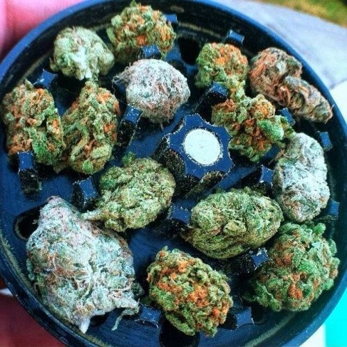 REHABDELIVERY's tweet photo. Tomorrow is 5 For $50 Friday : 5 grams for a $50 donation. #cannabis #marijuana #highdesert #victorville #applevalley #adelanto #hesperia #wax #dabbing #rehabdelivery #california #cannabiscommunity #cannabisculture 760-953-9353 https://t.co/2D2Ts9RL2h