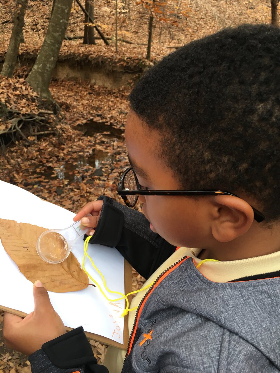 julabbie's tweet image. Close inspection of leaves to find air holes and veins #Trinitylearns