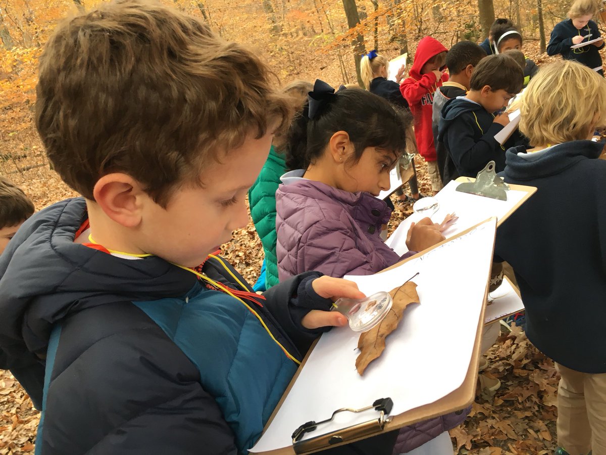 julabbie's tweet image. Close inspection of leaves to find air holes and veins #Trinitylearns