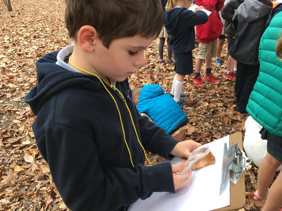 julabbie's tweet image. Close inspection of leaves to find air holes and veins #Trinitylearns