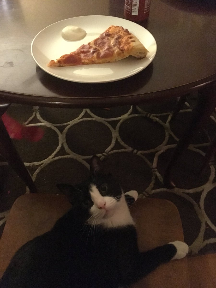 ShiroBadCat's tweet photo. My chair. My pizza. https://t.co/jRKC4gzfLz