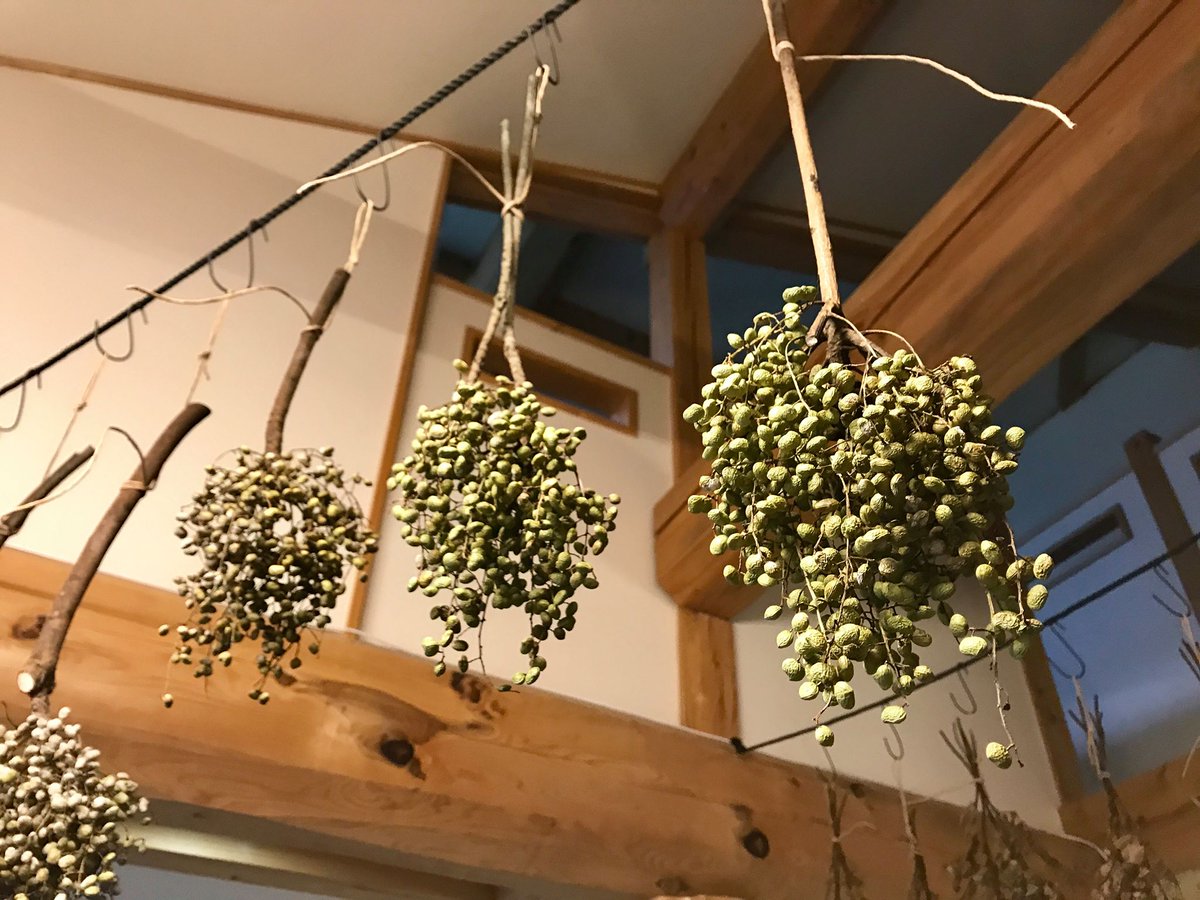 氷見あいやまガーデン A Twitter ドライフラワー専門店ぶらぶらより ハゼノキやヤツデの葉が乾きました 花の少ない時期になってきたため 花材の量が少なくなってきております 鮮やかな花材をお求めの方は ぜひお早めにお越しください T Co