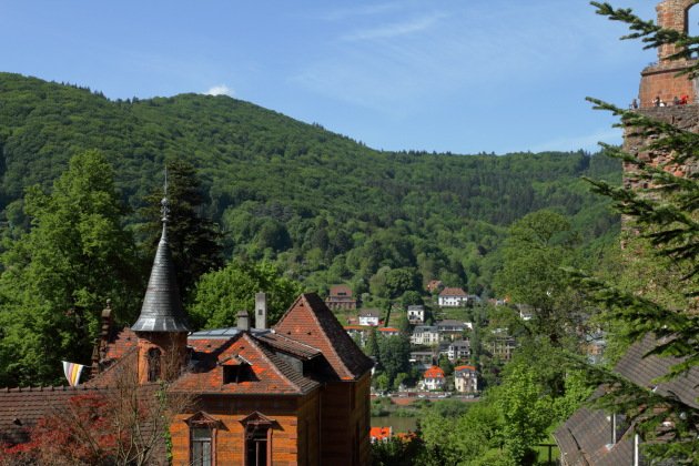 sankaracs's tweet photo. Looking for #FairytaleDestinations for your #WinterHolidays? Have you thought about laid back #Heidelberg of #Germany that offers so much old world charm that you can totally lose yourself in its fantasy world. #BeOnTheRoad #LiveYourTravelDream #Travel
https://t.co/8z7GiUm8N3 https://t.co/fO2VrsaQlC