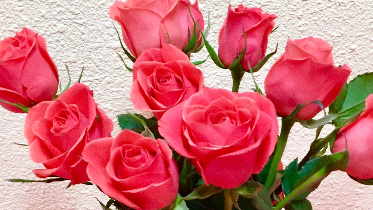 trueinsightsc's tweet photo. Happy Graduation to Intuitive Meditation 1 & 3 Classes! Congrats on your journey & all the growth you've experienced! #RoseForTrueInsight
Roses have one of the highest vibrations & are powerful intuitive tools. Write #RoseforTrueInsight in the caption of your pics of roses!β¨πΉ https://t.co/I71p9OyVIp