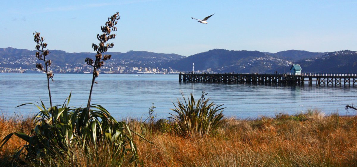 Petone wharf is open again! Cheers <a href="/HuttCityCouncil/">Hutt City Council</a> for the repair work to one of most photographed places in the Hutt. The long strolls on Petone Beach just got a whole lot better again ...