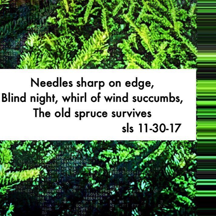 RealSherryLS's tweet photo. "For" #art #myart #words #poetsofinstagram #modernart #poem #poetry #poetrycommunity #writersofinstagram #writersofig #writer #writtenword #poetsofig #poetryofig #poetrycommunityofinstagram #wordcure #poetryisnotdead #haiku https://t.co/icsuw2DcGe https://t.co/p7vXfERcI3