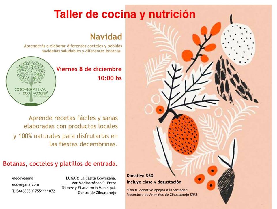 ecovegana's tweet photo. Tenemos un súper taller de cócteles para Navidad, posadas, Año Nuevo y lo que quieras. ¡No faltes! Te esperamos el viernes 8 de diciembre a las 10:00 en la #CasitaEcovegana. Donativo $60 pesos por persona. #Zihuatanejo #Veganismo https://t.co/Clezwv5k8s