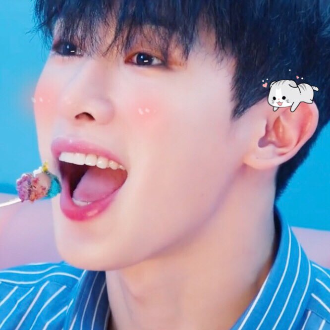 wonhomochi's tweet photo. ʰᵉ ᵐᵃᵏᵉˢ ᵐʸ ʰᵉᵃʳᵗ ᵇᵉᵃᵗ https://t.co/ry2LlZZ3jv