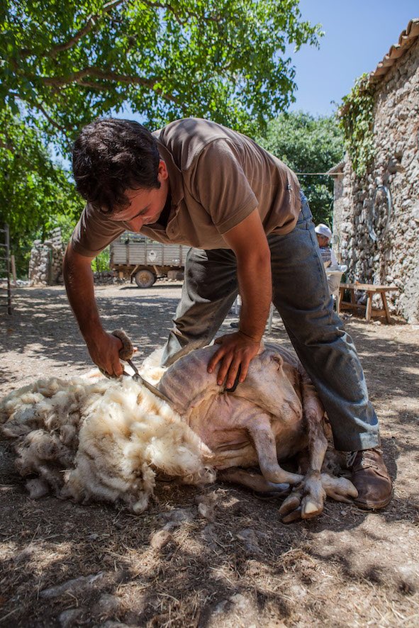 fermapj's tweet photo. Certamen de fotografía de la Serra de Tramuntana.  Compartir con vosotros el galardón de primer premio en la categoría de la “Serra y su gente” @vallausa @ArtisalTravel https://t.co/LFwIi6sbzZ