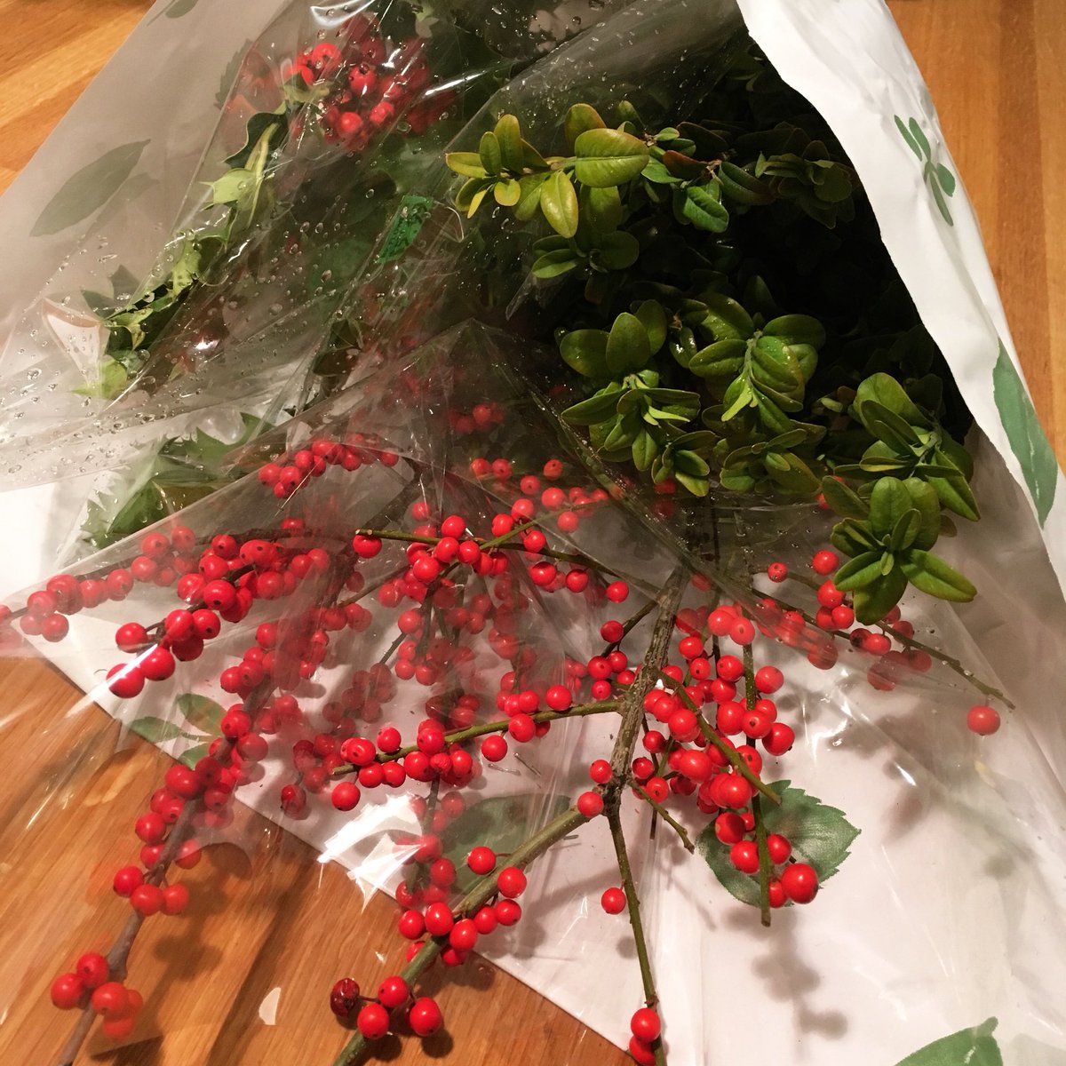 lindsayzv's tweet image. Blew the budget on festive greenery this afternoon. 🎄 #myfavouritetimeofyear #almostdecember #gameON