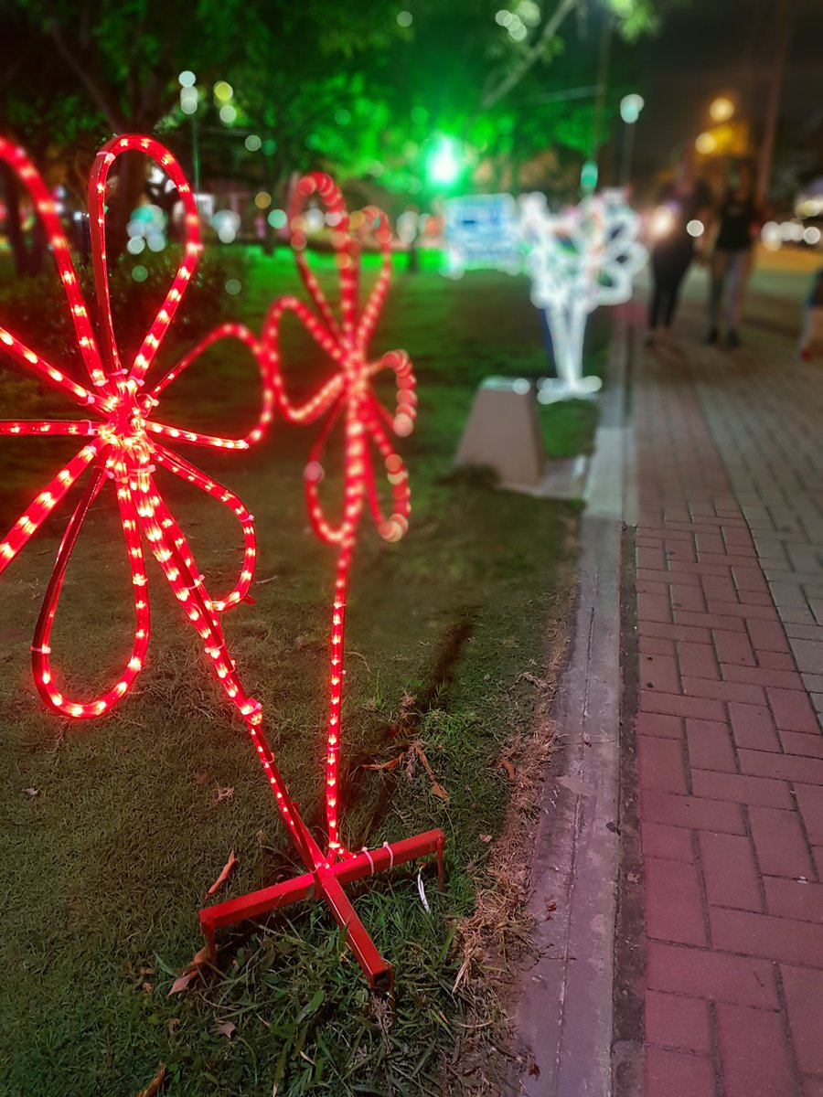 BLifeMedia's tweet photo. It's beautiful to see how the parks in #Barranquilla light up in December. Brings such a wonderful feeling of #Christmas to the city 🎄

#Barranquillalife #ExpatsBarranquilla #Expatscolombia https://t.co/MVLjtqvloc