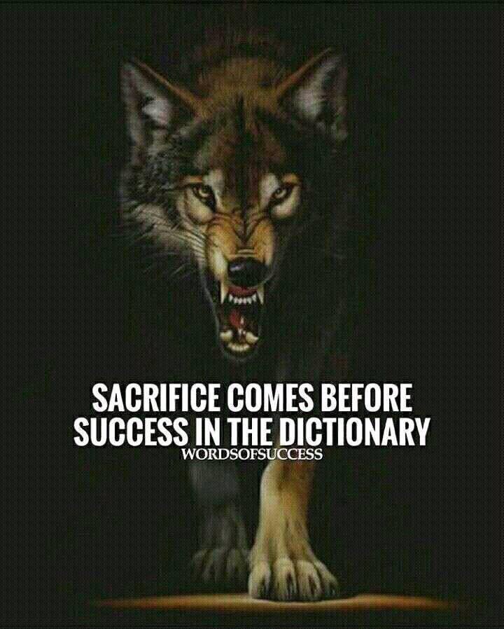 IndianRedwolf's tweet photo. @AStateFB #AStatevsTroy #PackTheVault #PackPride #WolvesUp #BuildingAMonster @RedWolf_risin @kdamp @AStateRedWolves https://t.co/LQ4syU21yY