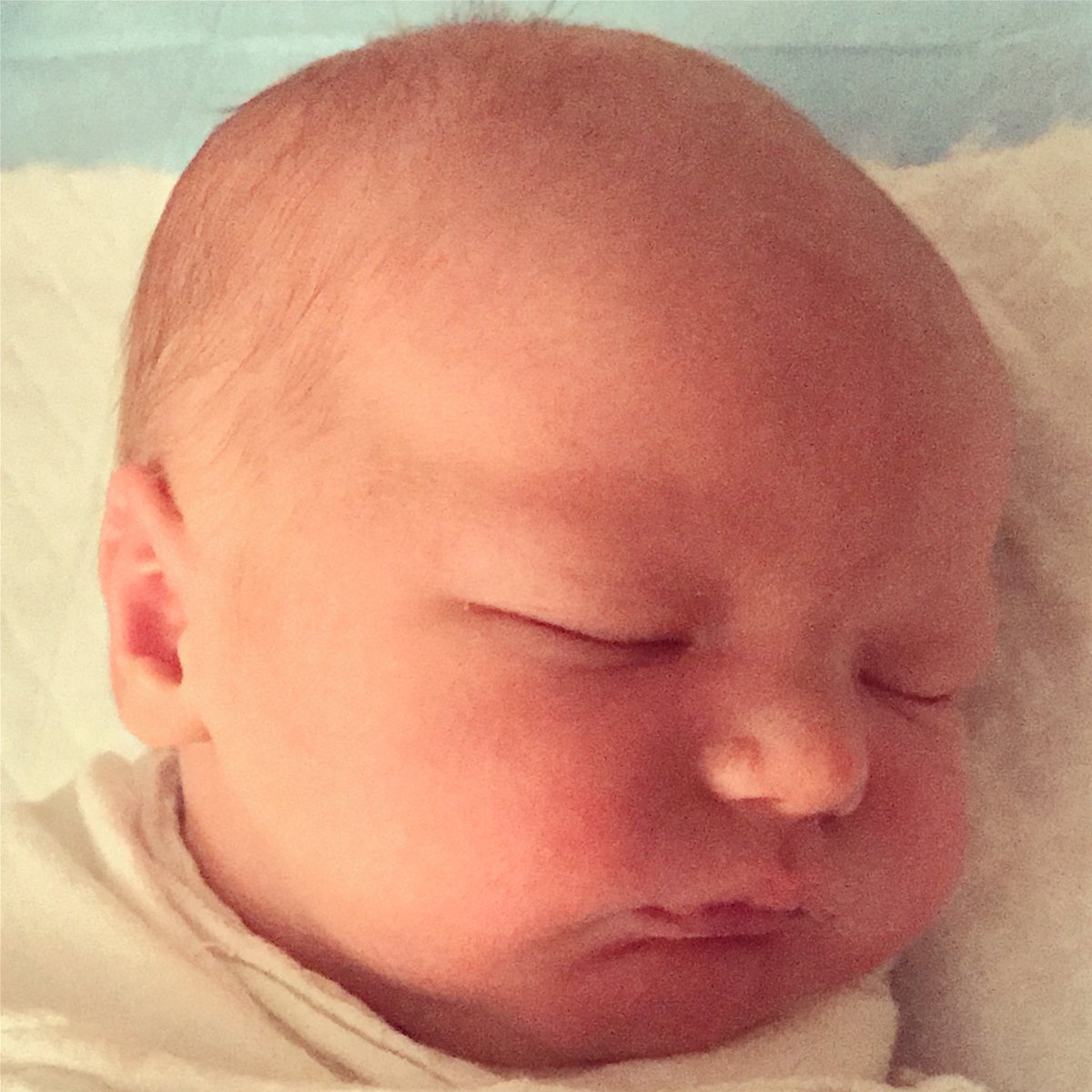 PeteTheRetailer's tweet photo. This little guy had a hard day yesterday, what with being born and all.
#PTR4 https://t.co/M5i45JhX9T