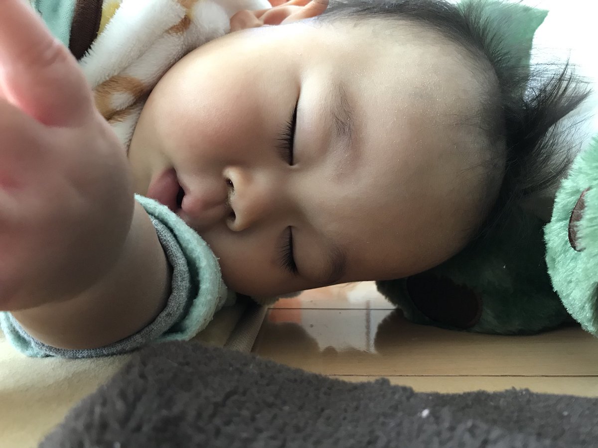 saki_eme's tweet photo. ワンワンの足で膝枕←
器用な寝方だね、
#高松 #美容室
#PIEROeMe #ピエロエメ
#0歳 #9ヶ月 #柊ちゃん https://t.co/7TVeyLTVE3