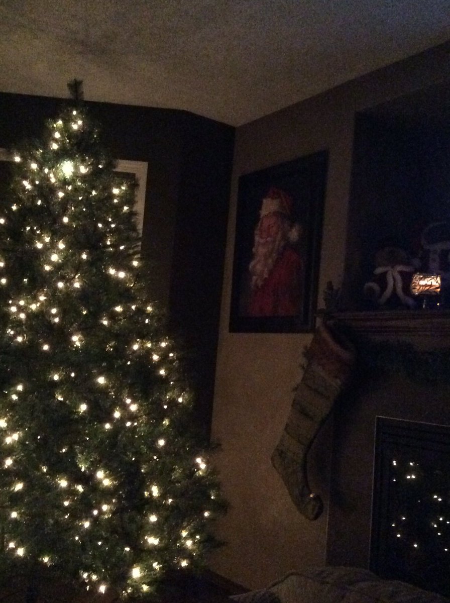 Foodie4everyone's tweet photo. The tree is up and Santa is watching! Just the tree decorating to go! #itsalmostdecember #bringonchristmas https://t.co/Vtj9Up94Ye