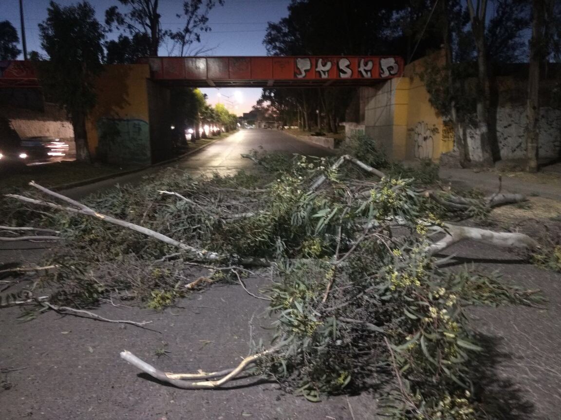 PC_Soledad's tweet photo. #PCSGS #SeguridadSGS informa: se atiende caída de árbol sobre superficie de rodamiento en carriles con rumbo al Centro de la capital en Acceso Norte, @dgspm_soledad mantiene cierre parcial https://t.co/ixnpovySms