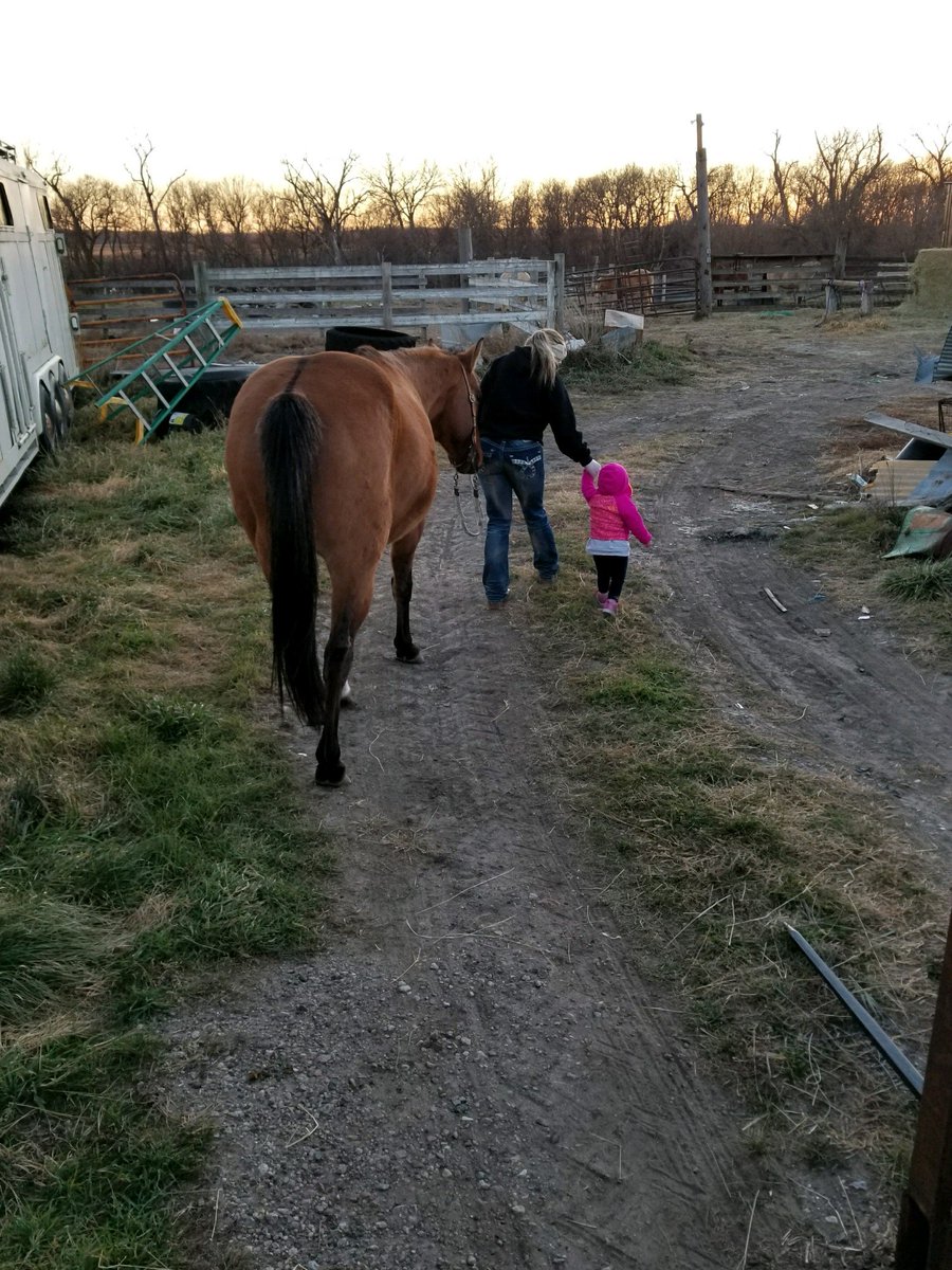 Lil_Gale's tweet photo. Being an aunt grants me so many opportunities. Tonight we tackled leading the horses 💕❤ https://t.co/35pZqkfCT0