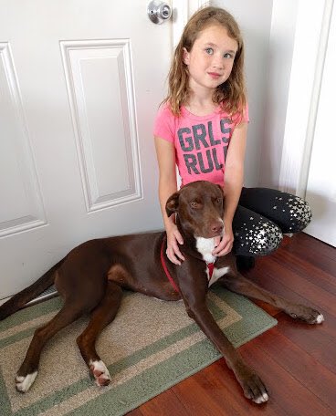 Another Hurricane Irma dog is HOME! Jade is home with forever sister Shelby! Shelby's shirt says it all--GIRLS RULE and Jade agrees! pprfl.org