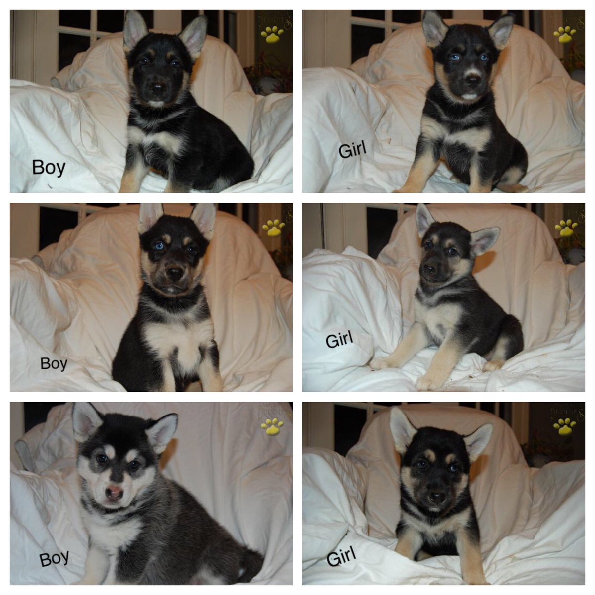 eunicesp_'s tweet image. #6left