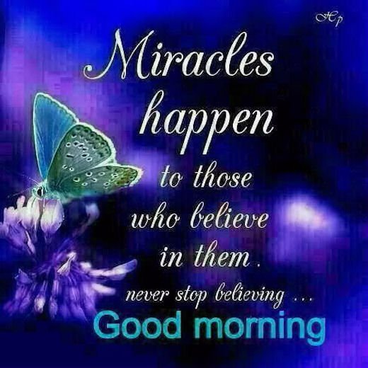 ranigill7's tweet photo. GM FRIENDS BLESSINGS FOR YOU ALL @jsharmaa1775 @pradeepdgupta1 @rishisharmabgp @sujaykumarjha4 @Ravi0707Ravi @ShantuPatel1 @DrAsisAcharya
@VinnuVs @RakshitKGaur @ram22421645
@manisingh2010 GM https://t.co/jN5MHSRXU4