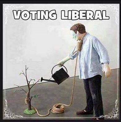 SuncoastPlace's tweet photo. @DEANforDVW @BillTufts @DebraMark1 @KFIAM640 @johnandkenshow @Kathleen_Wynne #KeepVotingLiberal https://t.co/LsEDWRuKG0