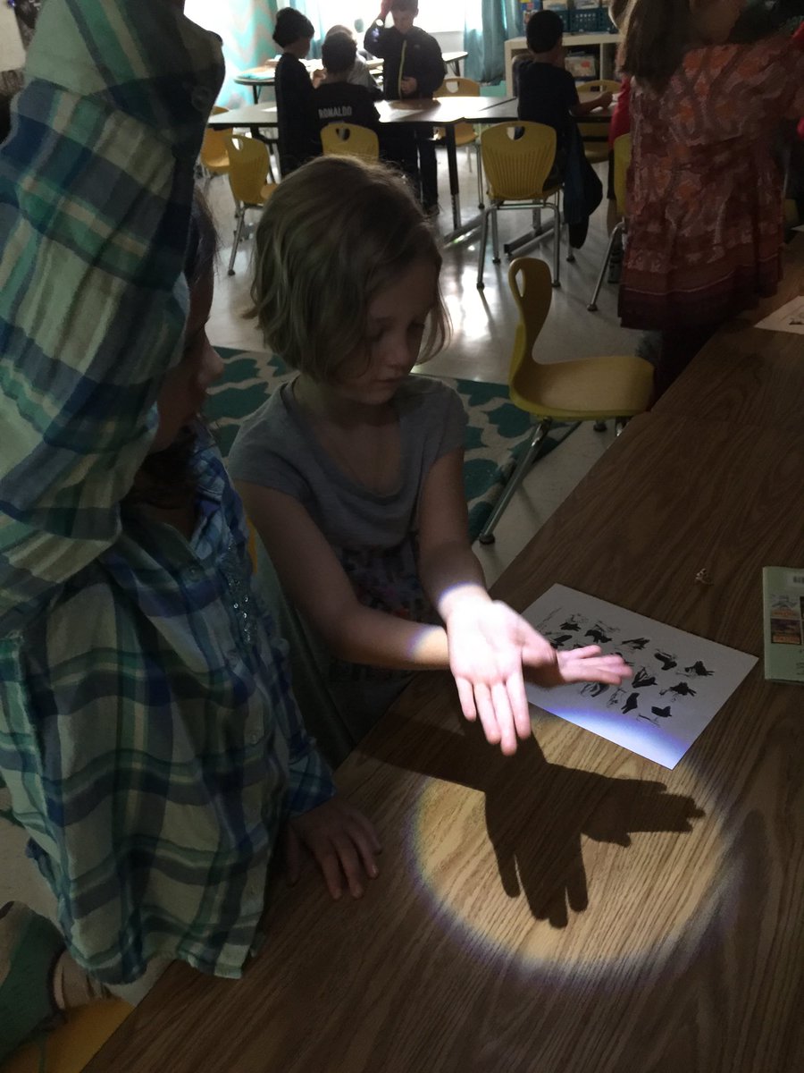 rimaharp's tweet photo. Which shadow puppet would you choose? #funwithlight @MPE_Mustangs https://t.co/lK6VJAiRlc
