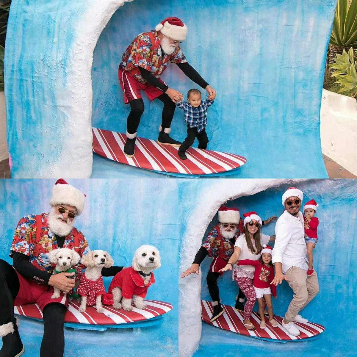 passport_sd's tweet photo. Thank you to everyone who came out to @seaport_village 's Surfin' Santa 2017! The photos are officially live. Download your favorite photos from the event. 💚🍁 #surfinsanta #seaportvillage 

All photos by John Cocozza Photography. https://t.co/cyCQhBUKcD