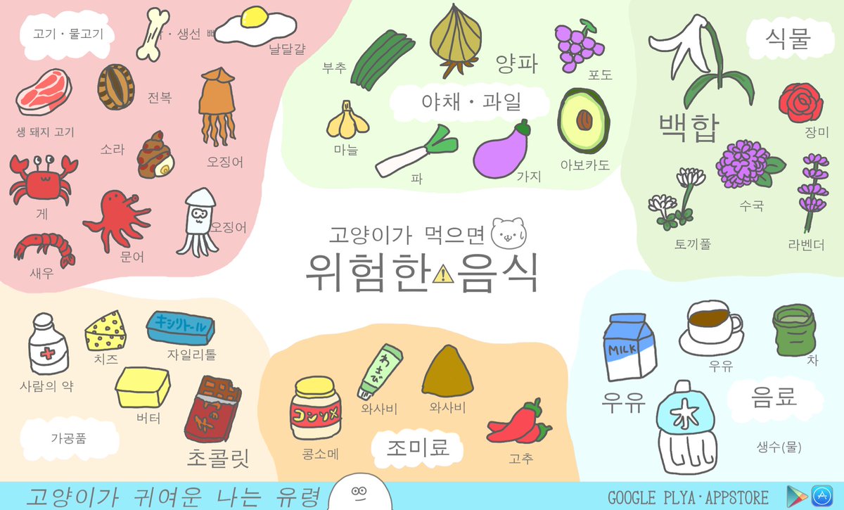 0_d8pkr's tweet photo. 고양이가 먹으면 위험한 음식
고양이가 귀여운 나는 유령
#고양이가귀여운나는유령 #고양이
https://t.co/h0AyqlPCig https://t.co/Qx8L5Oejog