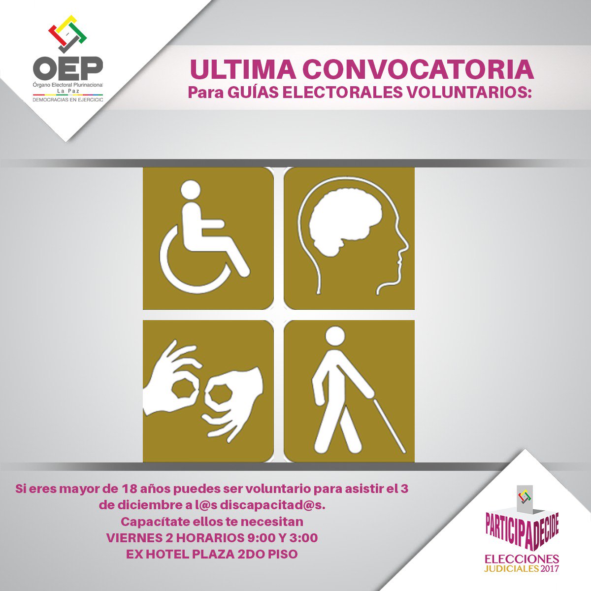 OEP La Paz tweet media