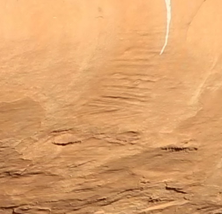 rschott's tweet photo. Late Cretaceous Cliff House Sandstone at Spruce Tree House, Mesa Verde National Park: https://t.co/Oz1FoECMBx Complete with @leafdoctor bobblehead. #MakingNorthAmerica https://t.co/Pb1ZLpluv9