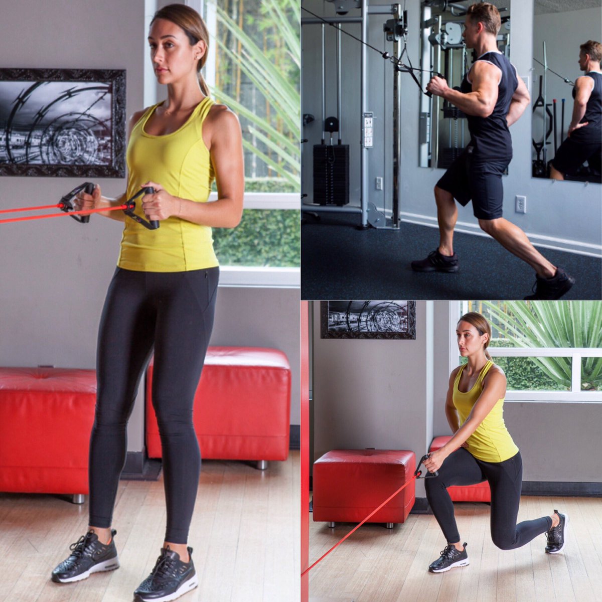 IRT_fitness's tweet photo. Pull pattern options for Thursday with varying Core Posture demands. #irt #intrinsicresistancetraining #resistancetraining #strengthtraining #strength #fitness #fitnessmotivation #personaltraining #resistancebandsworkout #resistancebands #pullpattern #proximalstability https://t.co/zUFh7V1r4o