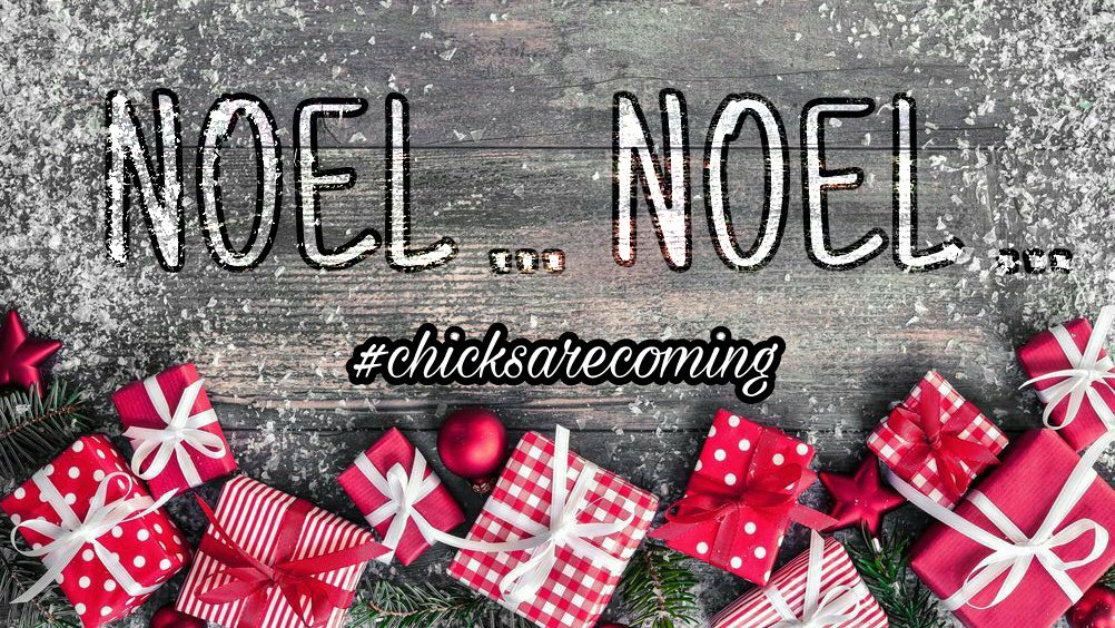 saucychicksph's tweet photo. On the first day of christmas my true love sent to me 🎶

We got a whole new treat coming for you this Christmas season!  Stay tuned and keep posted 💛 

#chicksarecoming #NoelBazaar2017 #TeamSaucyChicks https://t.co/rLPJ9ythKm