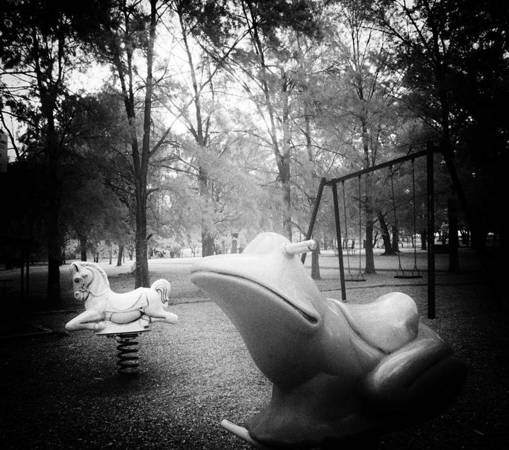 fleeting_light_'s tweet photo. P L A Y
#infrared #fullspectrum #canberra #thiscanberranlife #igersCanberra #ig_mirrorless #lumix #nofilter #sofranksocial #igersAustralia #beautifullandscape #photooftheday #infrared_images #lumixlife #thecanberrapage #designcanberra #microfournerd… https://t.co/dOnZaL1FXH https://t.co/o4FGXlH239