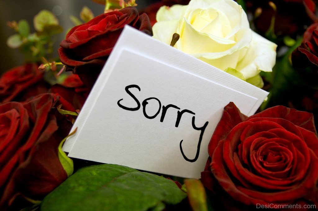 📨

[ HEY, HOW LONG I'VE BEEN GONE? I'M SORRY :( DARLING I MISS YOU SO MUCH ]

📦 Sending you something