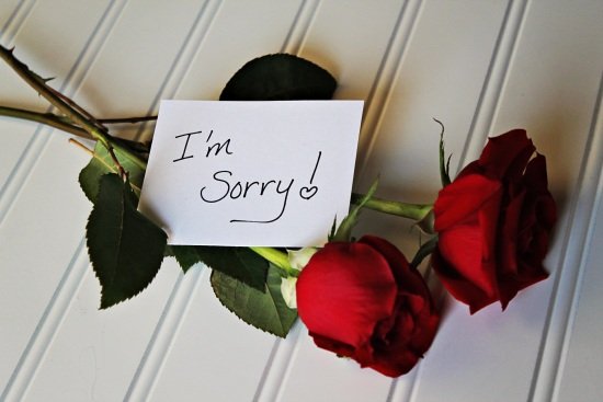 @FranberghIfrit 📦 Sending you more

[ SORRY. I'M SORRY! :( ]