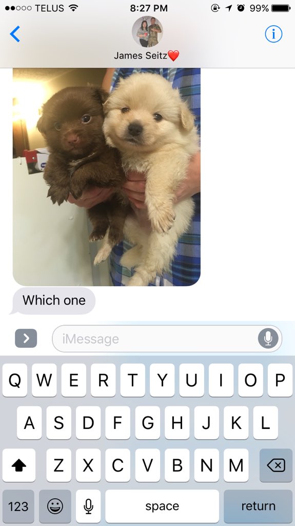 araynor11's tweet photo. do I have the best boyfriend ever, yes or yes? ππ #marryinghim https://t.co/92Vrf35Spv